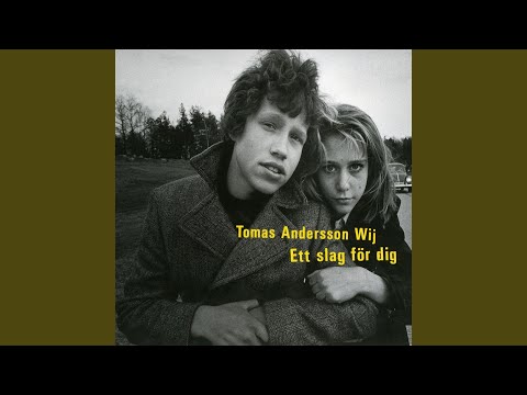 Sanningen om dig - Tomas Andersson Wij