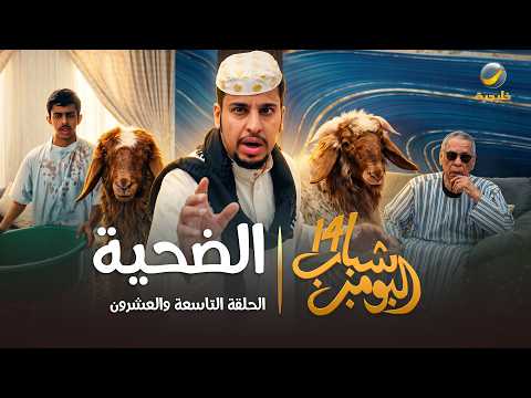مسلسل شباب البومب 14 الحلقة التاسعة والعشرون 