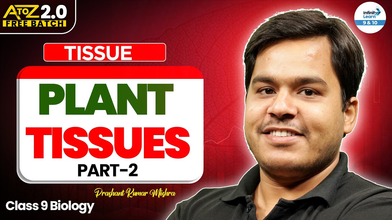 🌿 Plant Tissues  | Tissue Part 2 | Class 9 Biology | CBSE Board Preparation | @InfinityLearn_910