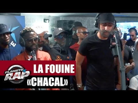 Video thumbnail for Chacal
