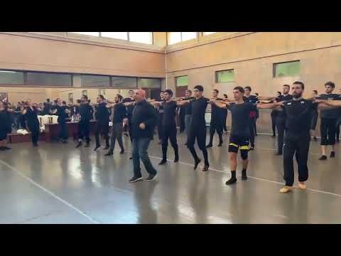 BERT dance ensemble 🇦🇲