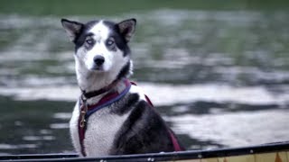 Good Dog Travels On Leaking Boat | Life Below Zero | Earth Unplugged