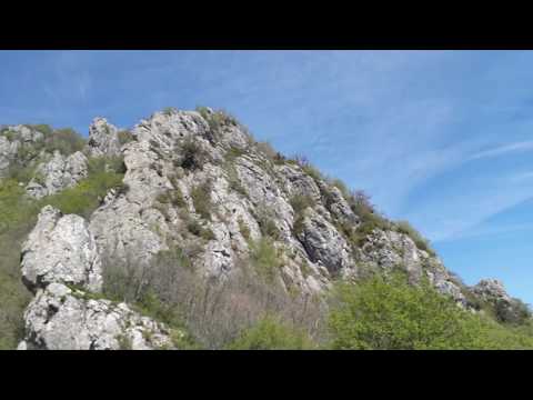 Λοιμός στο όρος Βέρμιο.