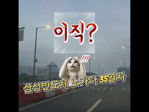 고덕 삼성반도체노가다 35일차