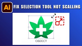 Selection Tool Not Working Not Scaling in Illustrator 2026 SOLVED