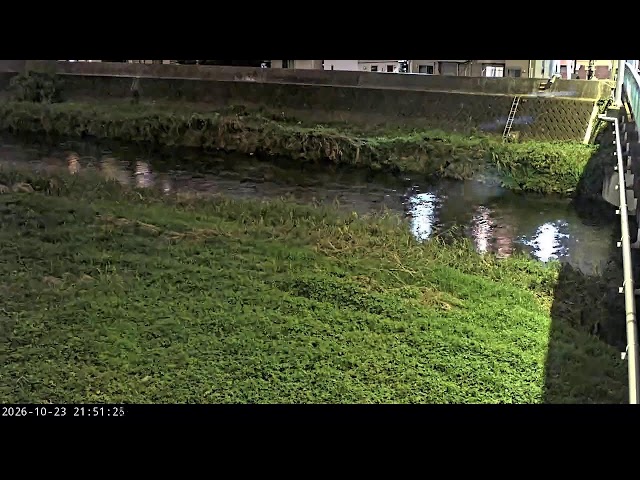 柳瀬川 高橋（柏町2丁目）