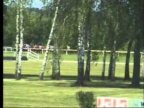 LL, 6. 6. 2015, 2. dostih - HANDICAP SPOLEČNOSTI KENOX