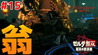アグレッシブ爺さんと共に逝く姫様護衛戦【ゼルダ無双厄災の黙示録】