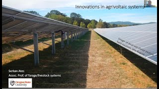 Small Ruminant Solar Grazing: Innovations in Agrivoltaic Systems