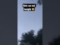 The bats are out 🦇