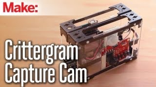 Weekend Projects - Crittergram Capture Cam