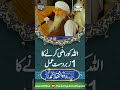 ALLAH Ko Razi Karne Ka Ak Great Amal PeerZulfiqarAhmadNaqshbandiOfficial