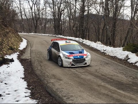 Test Pre-Ciocco 2016 - P. Andreucci - Peugeot 208 R5