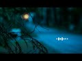 Sundari Kannal Oru Sethi Bgm Whatsapp Status Ringtone Violin Whatsappstatus Ringtone