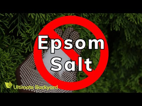 What Plants Don’t Like Epsom Salt? [ANSWERED]