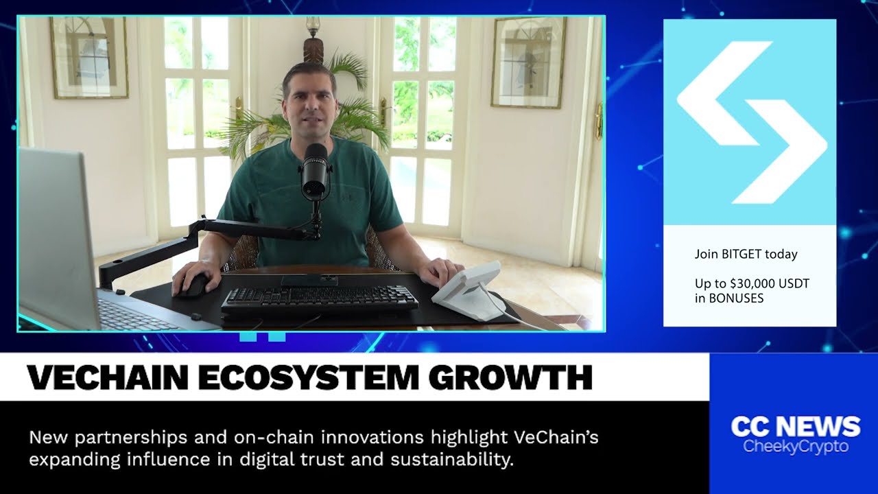 Vechain EXPLODES with Record Breaking 1.5m TRANSFERS!