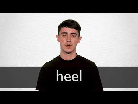 HEEL definition and meaning | Collins English Dictionary