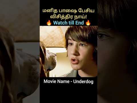A Street Dog Gains Superpowers and becomes the Hero#shorts#youtubeshorts #viral #trending #reels