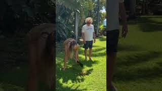 Opening a Coconut with Sammy and Kama Hagar #StandBack