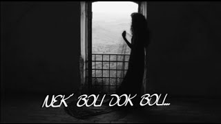 SEDAM DANA-EKV (1987)