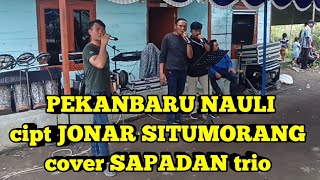Download lagu PEKANBARU NAULI ‼️ CIPT JONAR SITUMORANG cover SAPADAN TRIO mp3
