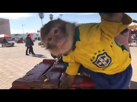 مرحبا بكم في مكناس Bienvenue à Meknès