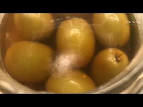 E-lekcja: poznajemy grzyby