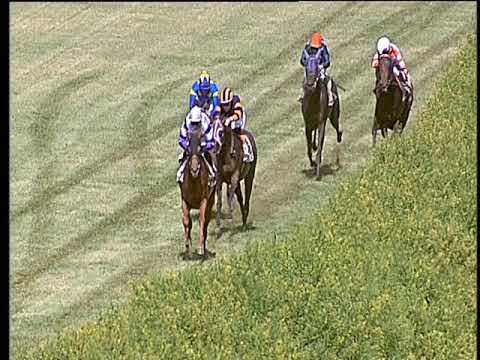 Galoppo 14/03/2019 - 1ª corsa