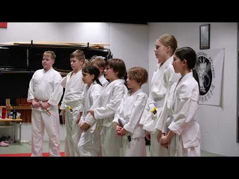 Oulu Ju-Jutsu Practice 4