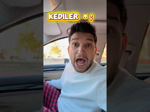 Kediler ve köpekler hırsız tepkisi