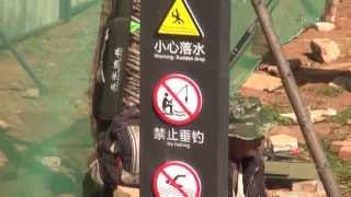 preview picture of video '海埂公園にある釣り禁止の標識 Fishing prohibited'