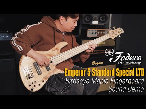 오윤철 (John Oh) - Fodera Emperor 5 Standard Special LTD-Poplar Burl Top Demo