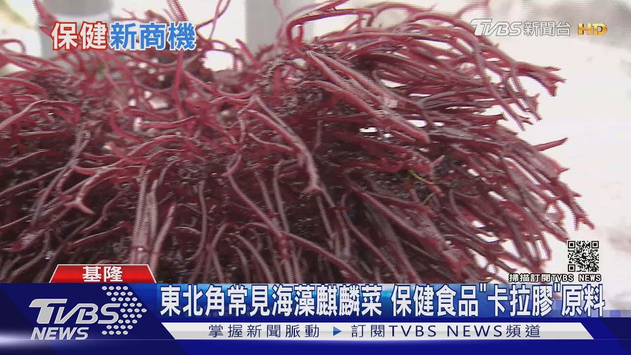 藻渣也能變黃金? 提煉出乳酸菌居然比市售效益還高