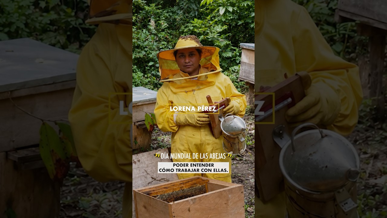 🐝Mujeres apicultoras en la Selva Maya. Día Mundial de las Abejas 2026. (Lorena Pérez)
