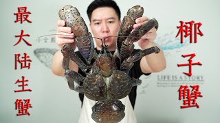 [問卦] 小文哥如果到墾丁拍影片會有什麼金句?