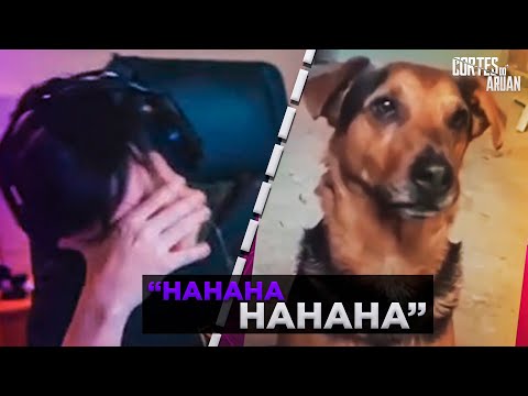 ARUAN REAGE A AMORA (COMPILADO DE MEMES) PARTE 16 - Cortes do Aruan