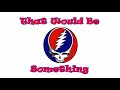 Grateful Dead  - That Would Be Something  - 6/2/1995