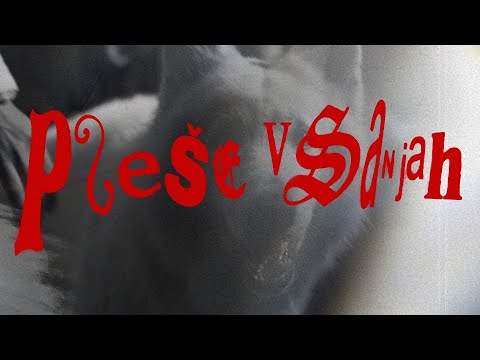 PAVEL PANON -  PLEŠE V SANJAH