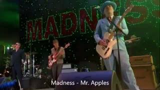 Madness - Mr. Apples