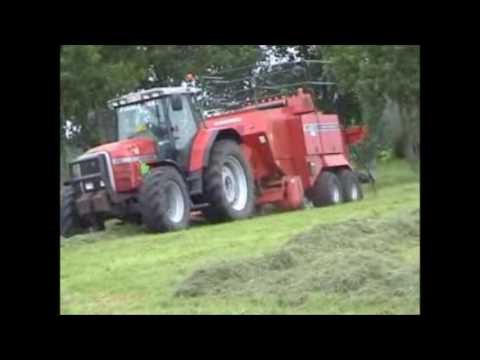 Van Ryckeghem W.: Grootpakpersen.