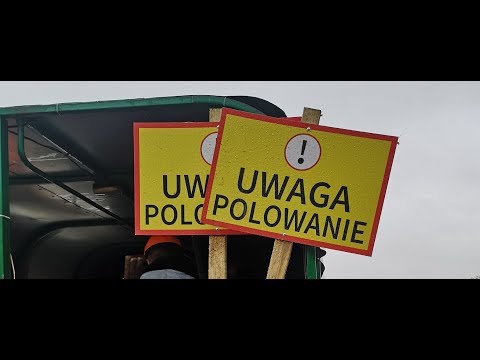 Hubertusjagd 2018 in Polen - Drückjagd - Polowanie Zbiorowe - Drivenhunt- Drivjakt