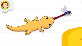 Download lagu Cicak Cicak di Dinding 🦎 | Lagu Anak Indonesia BaLiTa | Baba Lili Tata mp3