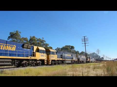 Junee Trains NR45, NR87, NR52, NR1 & 8124 with 6WM2