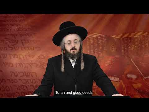 רגע קדוש מהאור החיים - פרשת כי תבא יום ב'