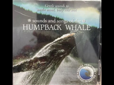 Sounds and Songs of the Humpback Whale (1999)