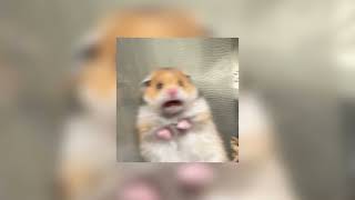 Download lagu Demi Lovato - Heart attack (Sped Up) mp3