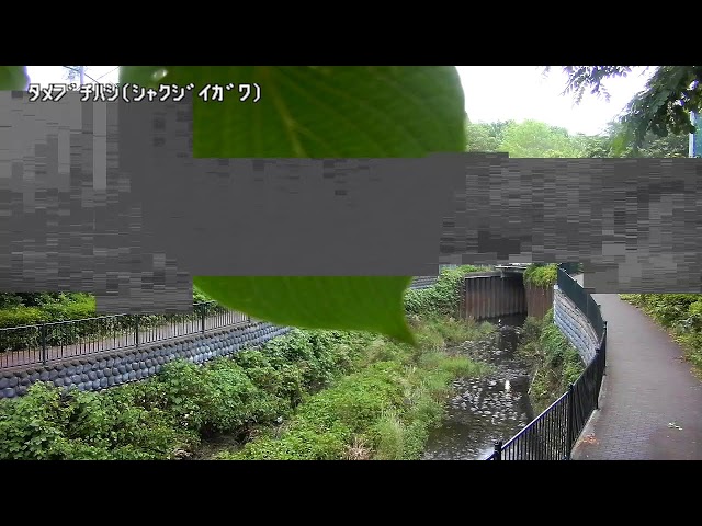 溜渕橋上流映像監視局