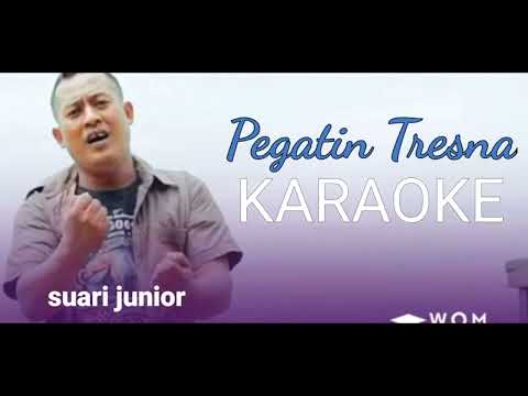 @KARAOKE PEGATIN TRESNA - SUARI JUNIOR