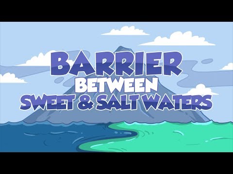 Barrier between Sweet and Salty Waters | Miracles of the Quran