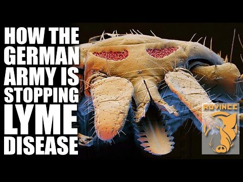 How the German Army is stopping Lyme Disease How the German Army is stopping Lyme Disease